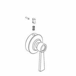 Cheapest 👏 PROFLO® Handle Assembly in Chrome 🎁